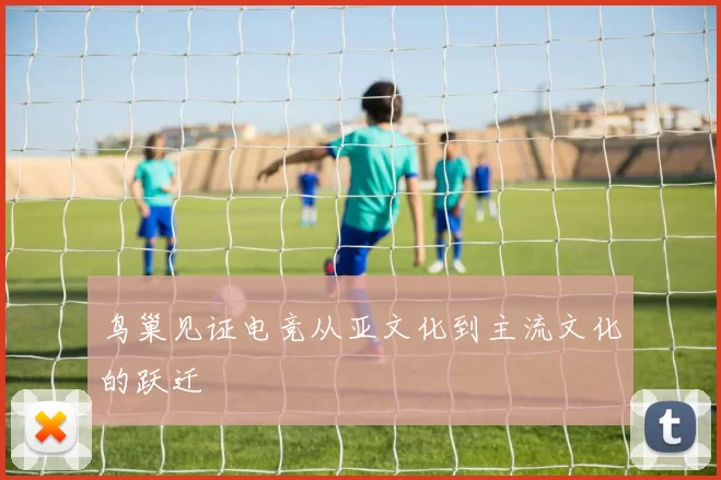 鸟巢见证电竞从亚文化到主流文化的跃迁