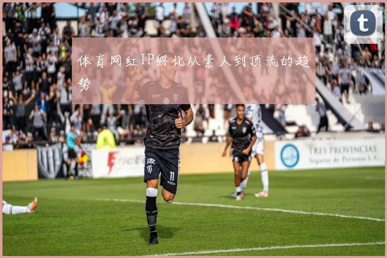 体育网红IP孵化从素人到顶流的趋势