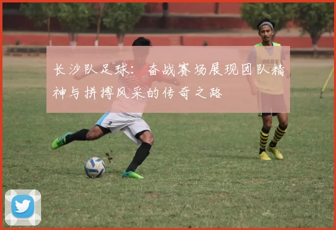 长沙队足球：奋战赛场展现团队精神与拼搏风采的传奇之路