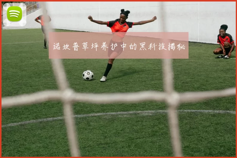 诺坎普草坪养护中的黑科技揭秘