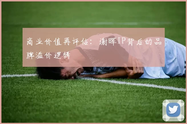 商业价值再评估：谢晖IP背后的品牌溢价逻辑