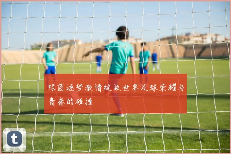 绿茵逐梦激情绽放世界足球荣耀与青春的碰撞