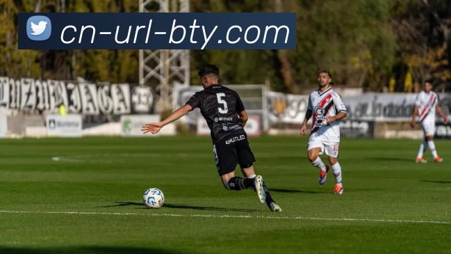 b体育网站平台生态图