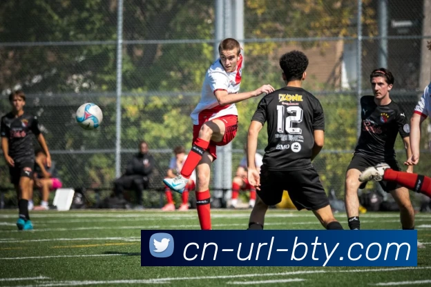 b体育网站APP 封面图